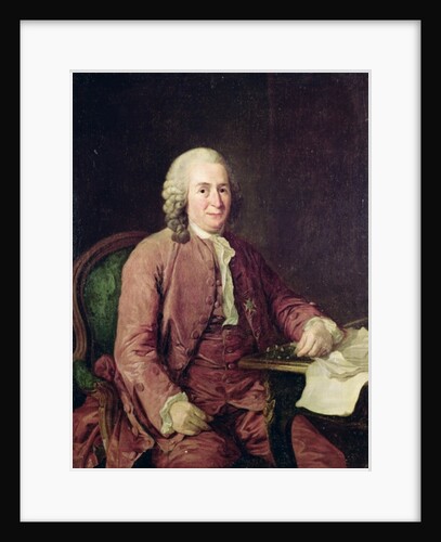 Portrait of Carl von Linnaeus, 18th century by Alexander Roslin