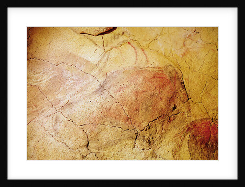 Bison by Prehistoric Prehistoric
