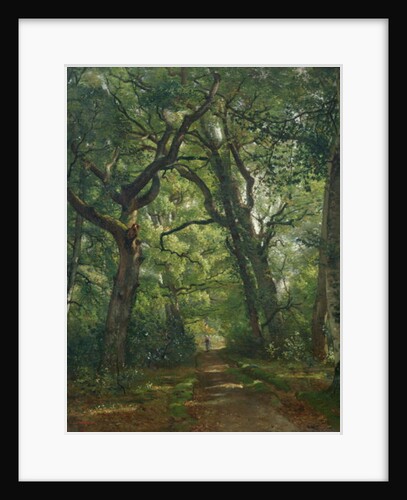 Path in the Forest, 1864 by Henri Joseph Constant Dutilleux