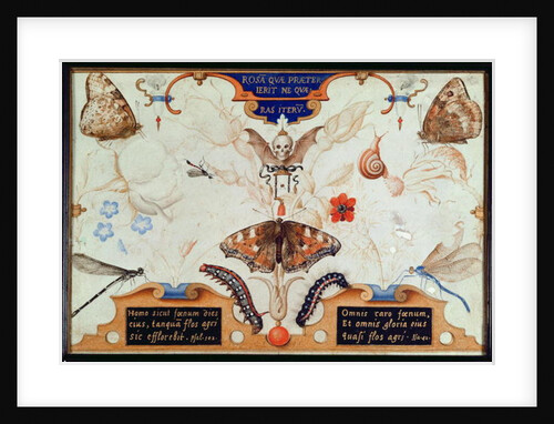 Diptych with flowers and insects, 1591 by Joris Hoefnagel