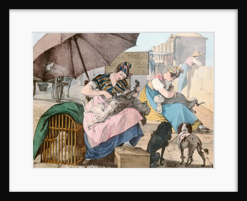 The Dog Groomers, 1820 by John James Chalon