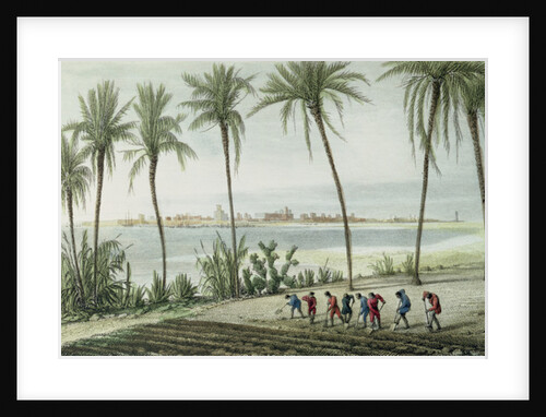 General View of Cadiz by J. Taylor