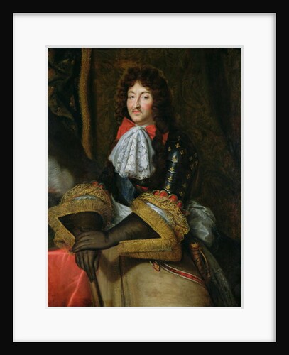 Louis XIV by French School
