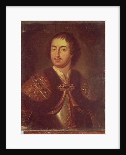 Portrait of Peter I by Adriaan van der Werff