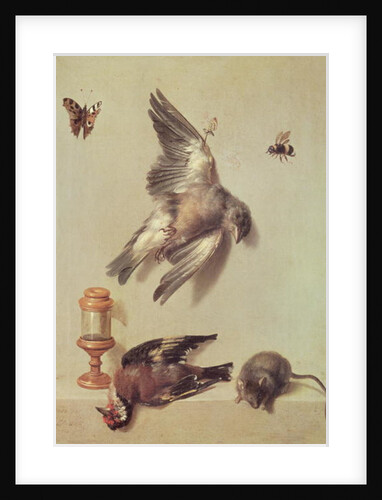 Still Life of Dead Birds and a Mouse, 1712 by Jean-Baptiste Oudry
