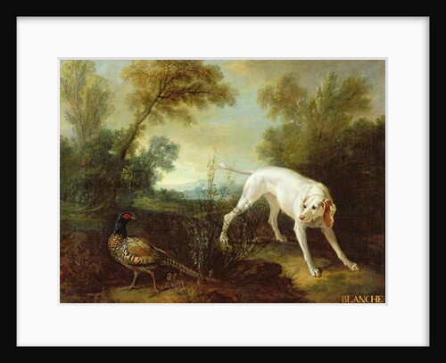 Blanche, Bitch of the Royal Hunting Pack by Jean-Baptiste Oudry