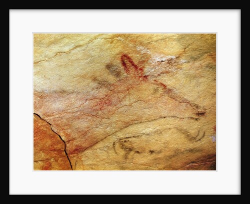 Stag from the Caves of Altamira, c.15,000 BC by Prehistoric Prehistoric
