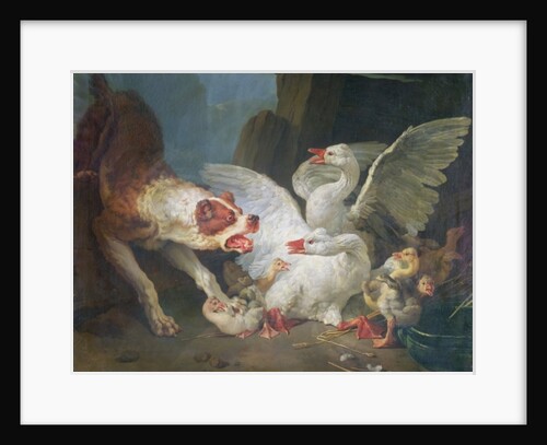 A Dog Attacking Geese, 1769 by Jean-Baptiste Huet