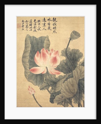 Peonies by Shouping Yun