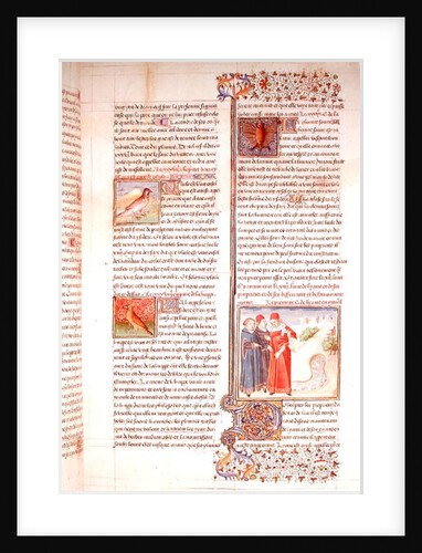 Ms 399 fol.149 The Properties of the Tortoise, the Hoopoe and the Bat by French School