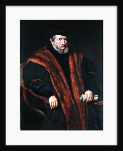 Portrait of a Man, 1564 by School Netherlandish