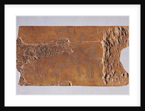 Reindeer horn carved with deer and leaping salmon by Paleolithic Paleolithic