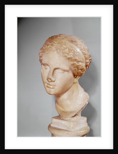 Venus of Martres, Roman copy of a Greek original by Praxiteles (after)