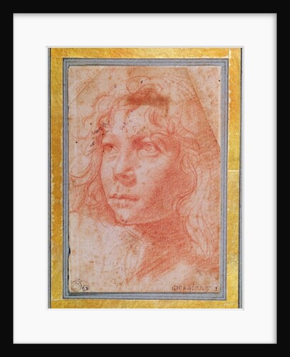 Head of a young boy turned to the left by Polidoro da Caravaggio