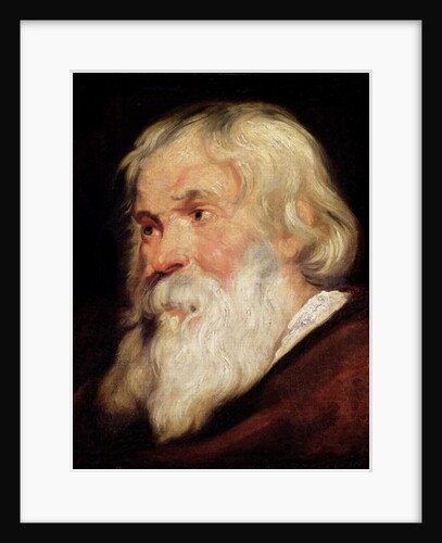 Head of an Old Man by Peter Paul Rubens