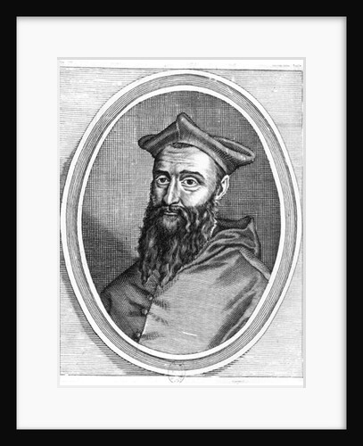 Portrait of Jean du Bellay by French School