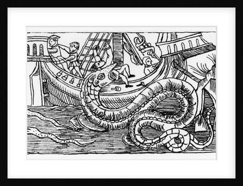 A Sea Serpent by Italian School