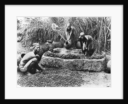 Making palm oil in Dahomey, c.1900 by French Photographer