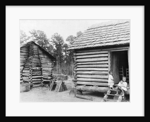 Log cabins in Thomasville, Florida, c.1900 by American Photographer