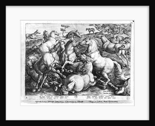 Horses in the wild by Jan van der (1523-1605) (after) Straet