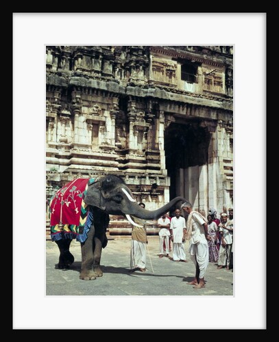 A man being blessed by an elephant at Varadarajaswamy Temple by Anonymous