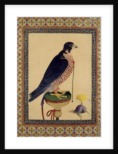 Ms E-14 Falcon, from a Moraqqa by Islamic School