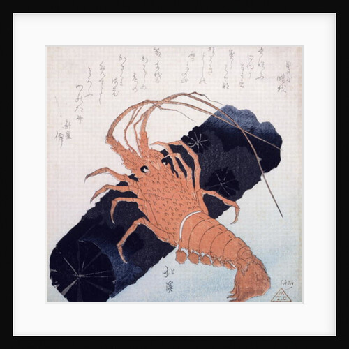 Langoustine with a Block of Charcoal, c.1830 by Toyota Hokkei