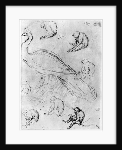 Peacock and Six Monkeys by Antonio Pisanello