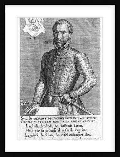 Portrait of Count Henry of Brederode 1566 by Flemish School