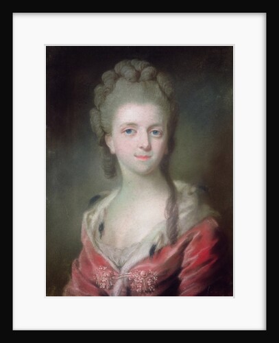 A Princess from the House of Bourbon by French School