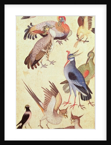 Ten Birds by Indian School