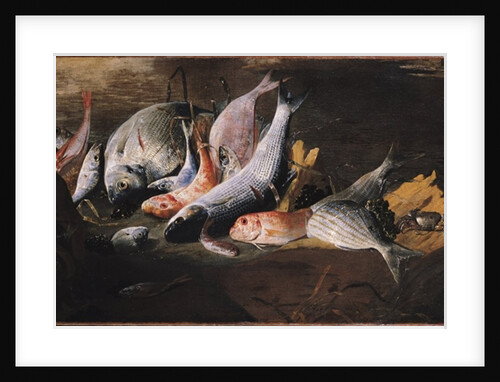 Fish and Crab by Giuseppe Recco