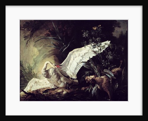 A Water Spaniel Attacking a Swan on its Nest, 1740 by Jacques Charles Oudry