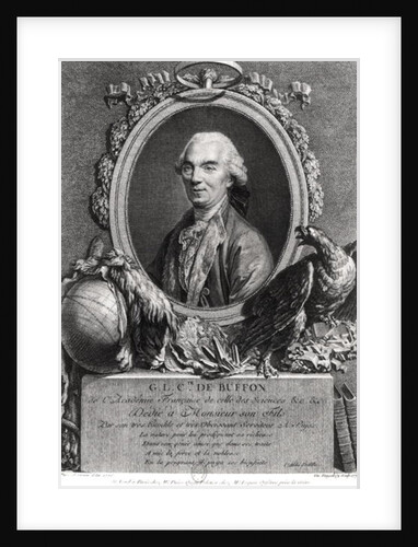 Georges-Louis Leclerc Comte de Buffon by Andre Pujos