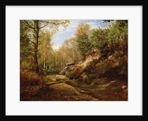 Pines and Birch Trees or, The Forest of Fontainebleau, c.1855-57 by Henri Joseph Constant Dutilleux