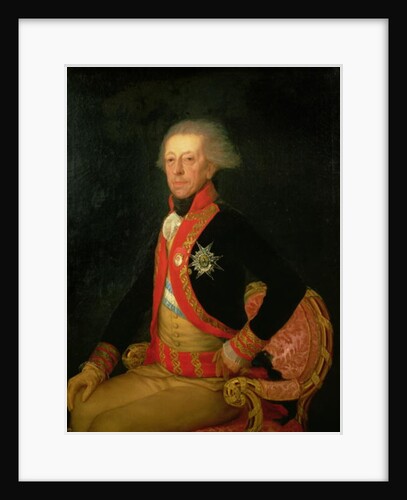 General Antonio Ricardos c.1793-94 by Francisco Jose de Goya y Lucientes