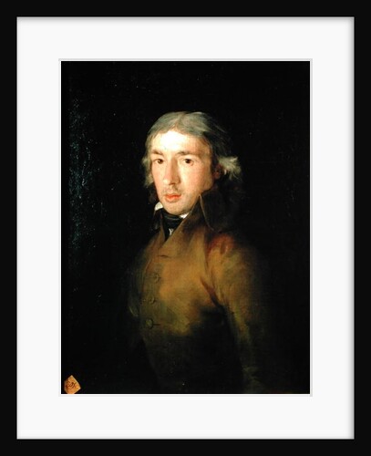 Portrait of Leandro Fernandez de Moratin by Francisco Jose de Goya y Lucientes