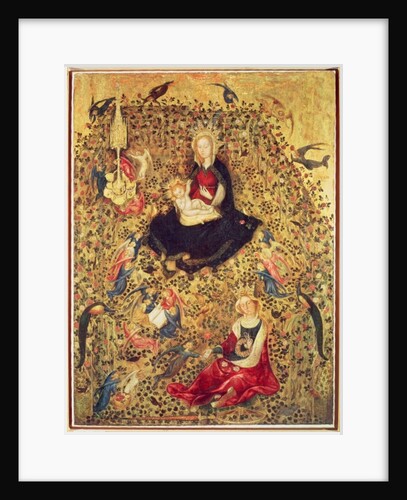 Madonna with a Rose Bush, c.1420 by Stefano di Giovanni da Verona