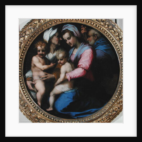 The Virgin with the Infant Christ, St. Elizabeth and St. John, c.1516 by Andrea del Sarto