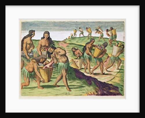 Collecting Food for the Communal Storehouse by Jacques Le Moyne