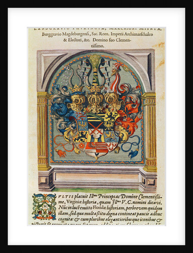 Coat of Arms by Jacques (1533-88) (after) Le Moyne