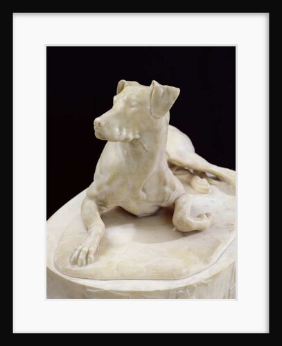 A Dog, 1827 by Pierre-Francois-Gregoire Giraud