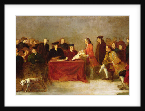 Meeting of the Academy or, Natural History Examination in Venice by Italian School