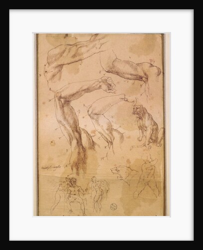 Ms H 184 fol.202 Studies of raised arms, a wild cat and a group of figures by Michelangelo Buonarroti