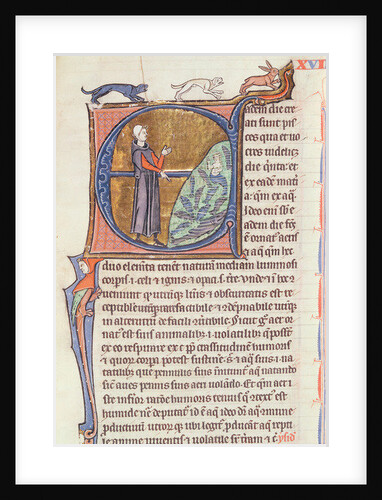 Ms 426 fol.213 A doctor by a fishpond by French School