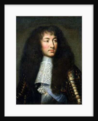 Portrait of Louis XIV, 1661-62 by Charles Le Brun