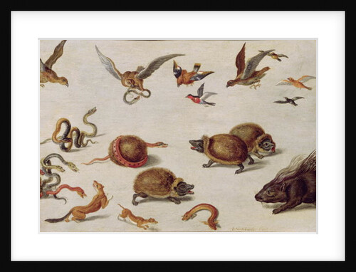 The Enemies of Snakes by Jan van the Elder Kessel