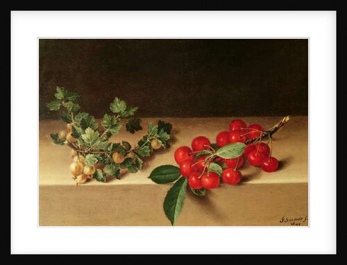 Fruit on the Table, 1644 by Francis Garnier