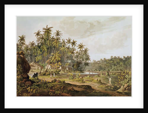 View near Point du Galle, Ceylon by Henry Salt (after)