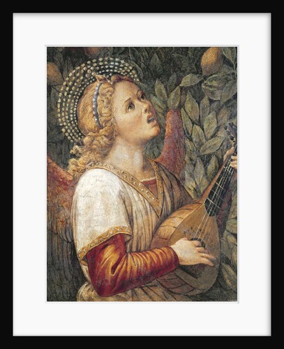 Angel Musician by Melozzo da Forli
